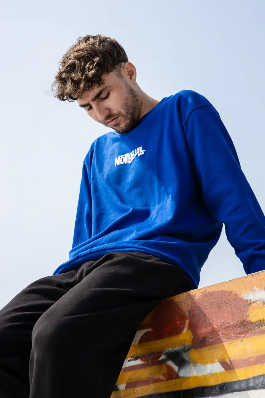 Puff Printed Logo Blue Relaxed Fit Unisex Sweatshirt