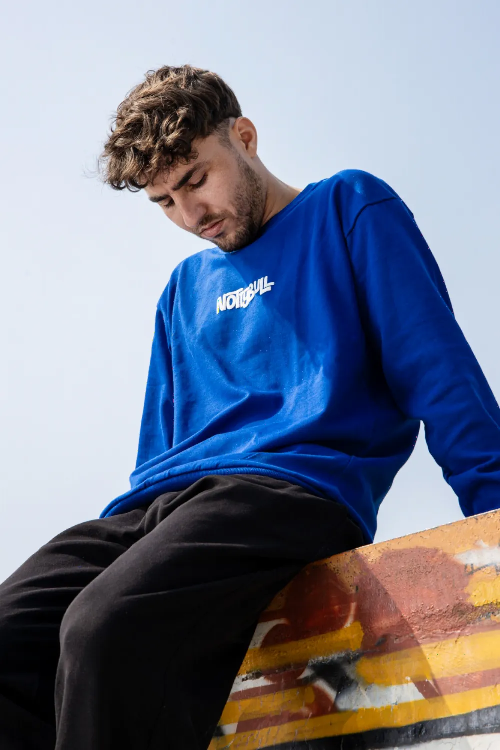 Model sitting on a painted ledge in the royal blue sweatshirt